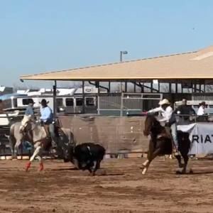 Meet your Posher, Jensen